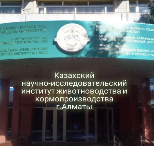Общественные объекты